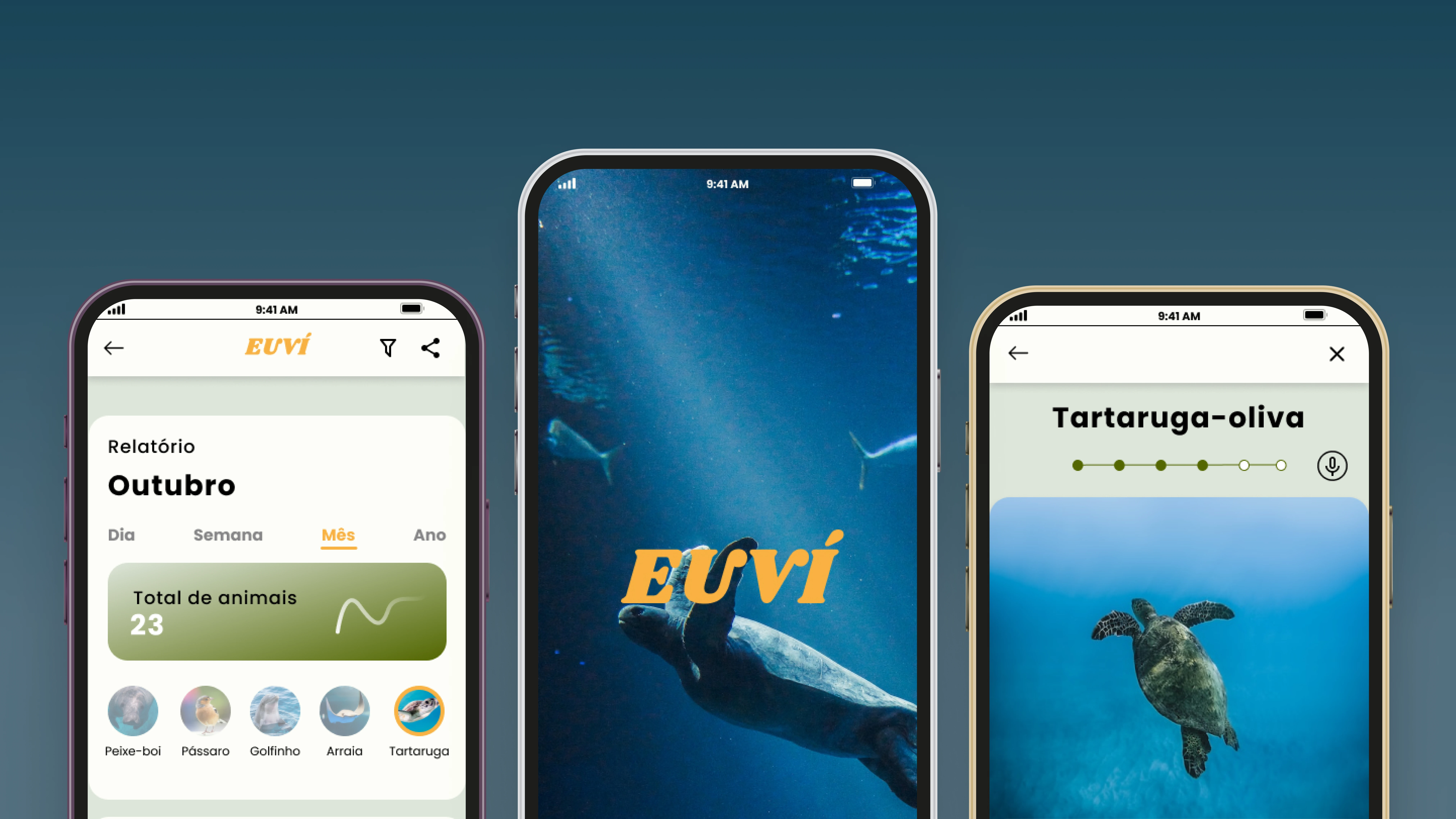 some screns from Eu vi