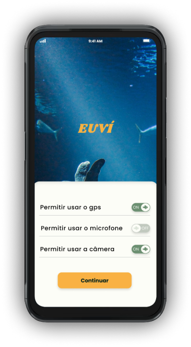 app screen permitions euvi 