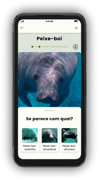 screen confirm the animation
